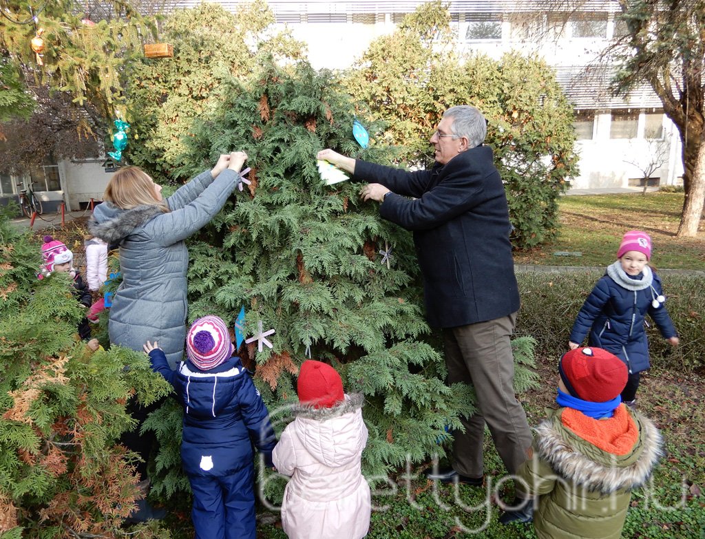 Fenyődíszítés a kórházban 10